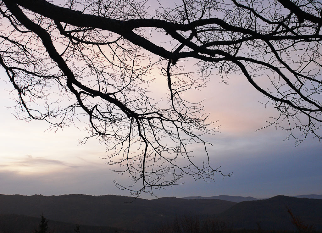alsace22