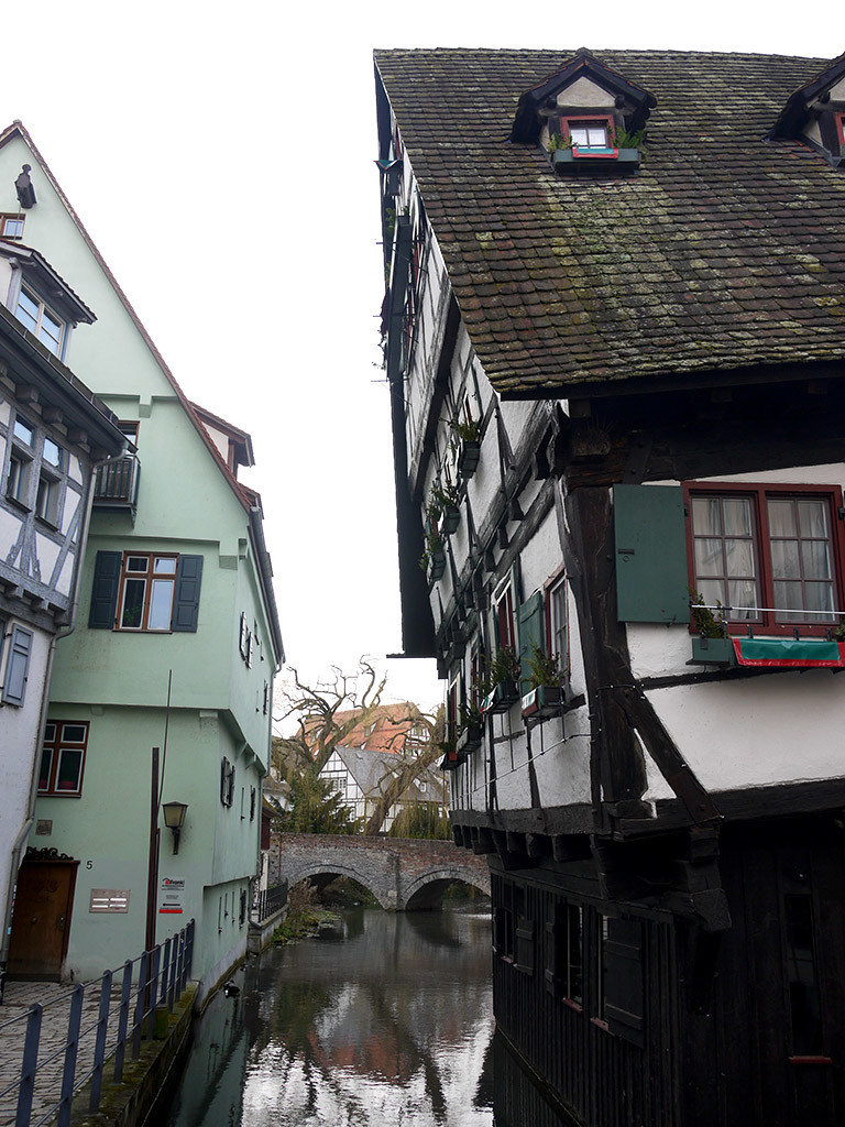 ulm24